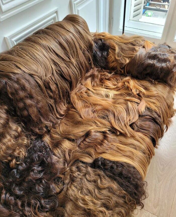 potret kocak desain produk yang nyeleneh ini bakal bikin kamu bingung cara membersihkanya